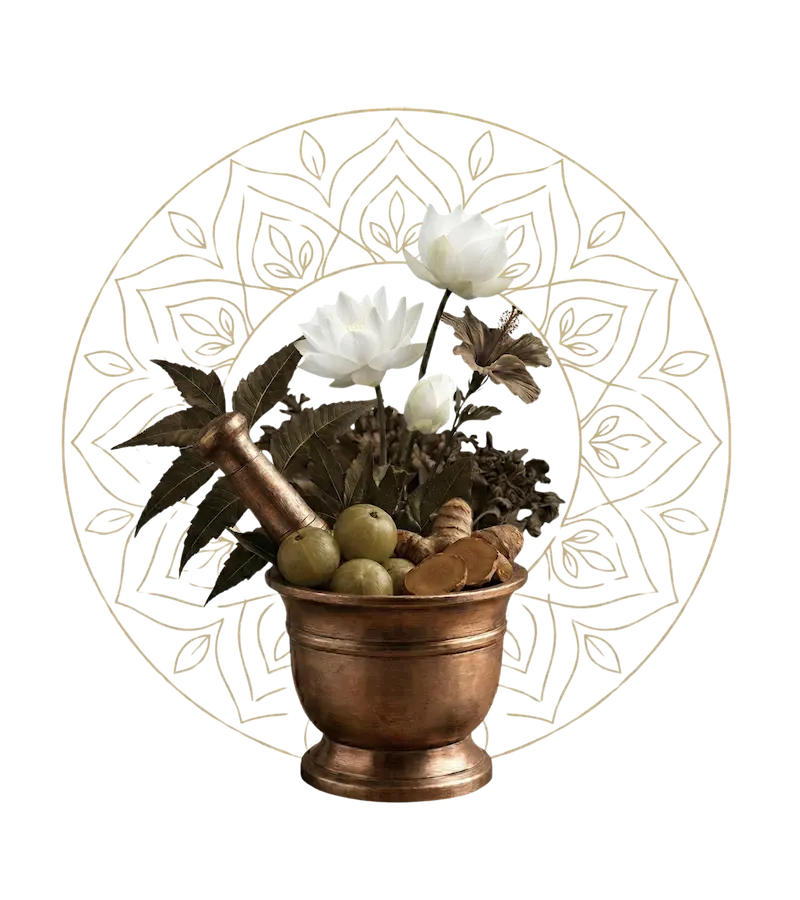 Ayurvedic herbs and Berrys Healthcare treatment